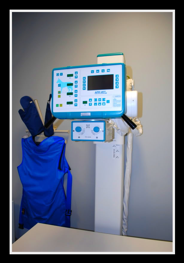 Veterinary diagnostic imaging equipment inside Copperfield Veterinary Hospital