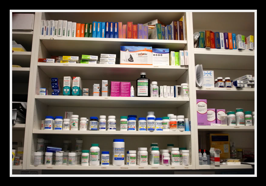 In-clinic pharmacy shelves at Copperfield Veterinary Hospital